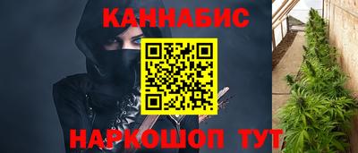 стафф Будённовск