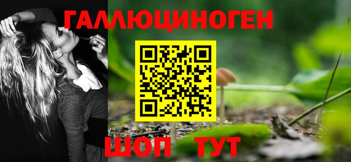 Томск  Псилоцибиновые грибы Psilocybe  Вход с VPN 