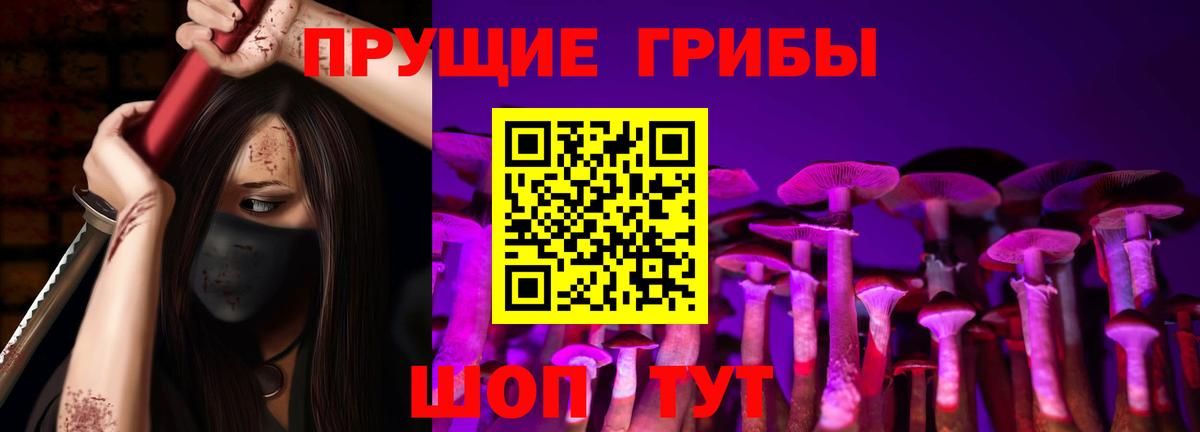 Галлюциногенные грибы Psilocybe Томск